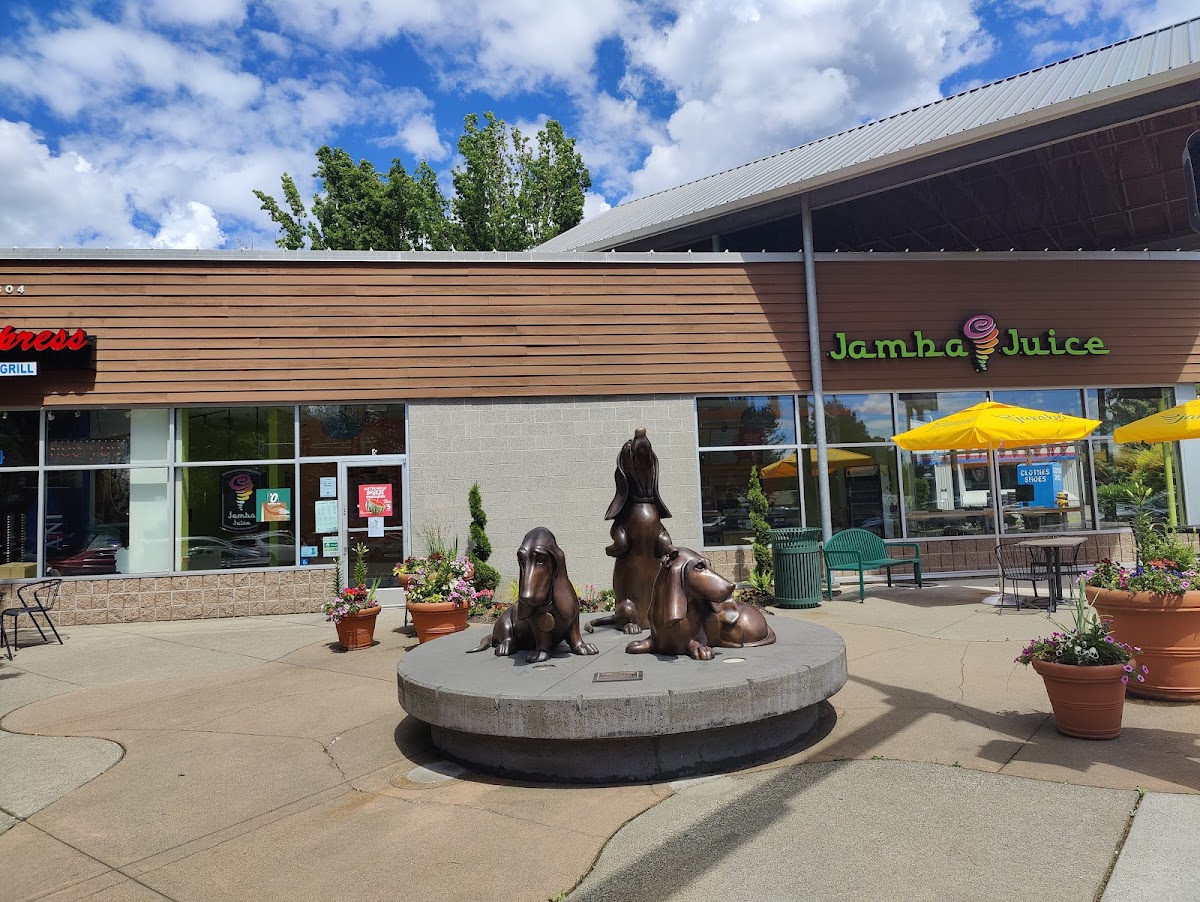 Gyro Express Woodinville
